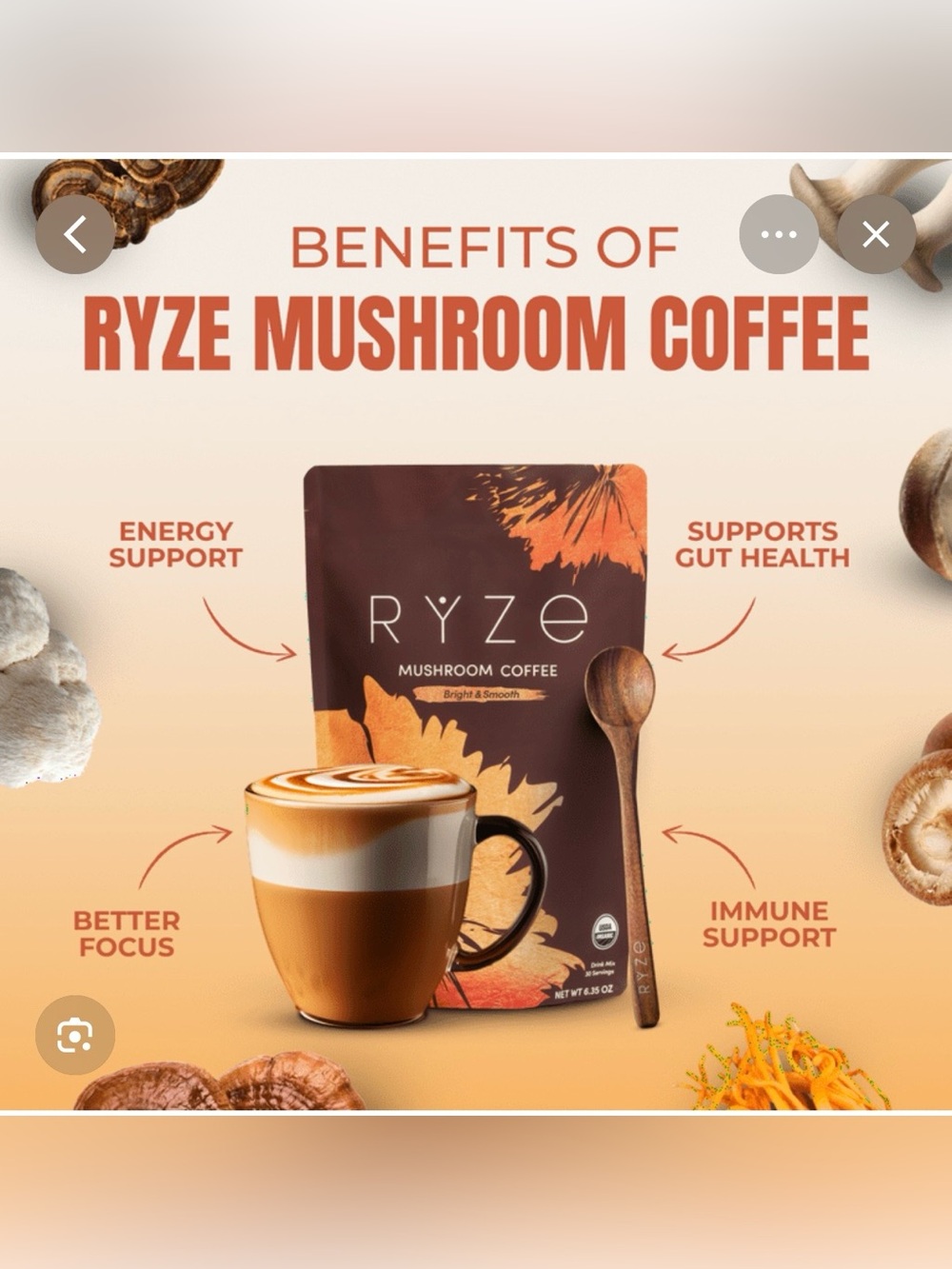 Mushroom Coffee One Bag 6.3oz : Two mini bag probiotic creamer: one scoop : NEW - Picture 7 of 16